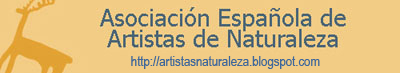 Enlazar con la Asociaci�n Espa�ola de Artistas de Naturaleza